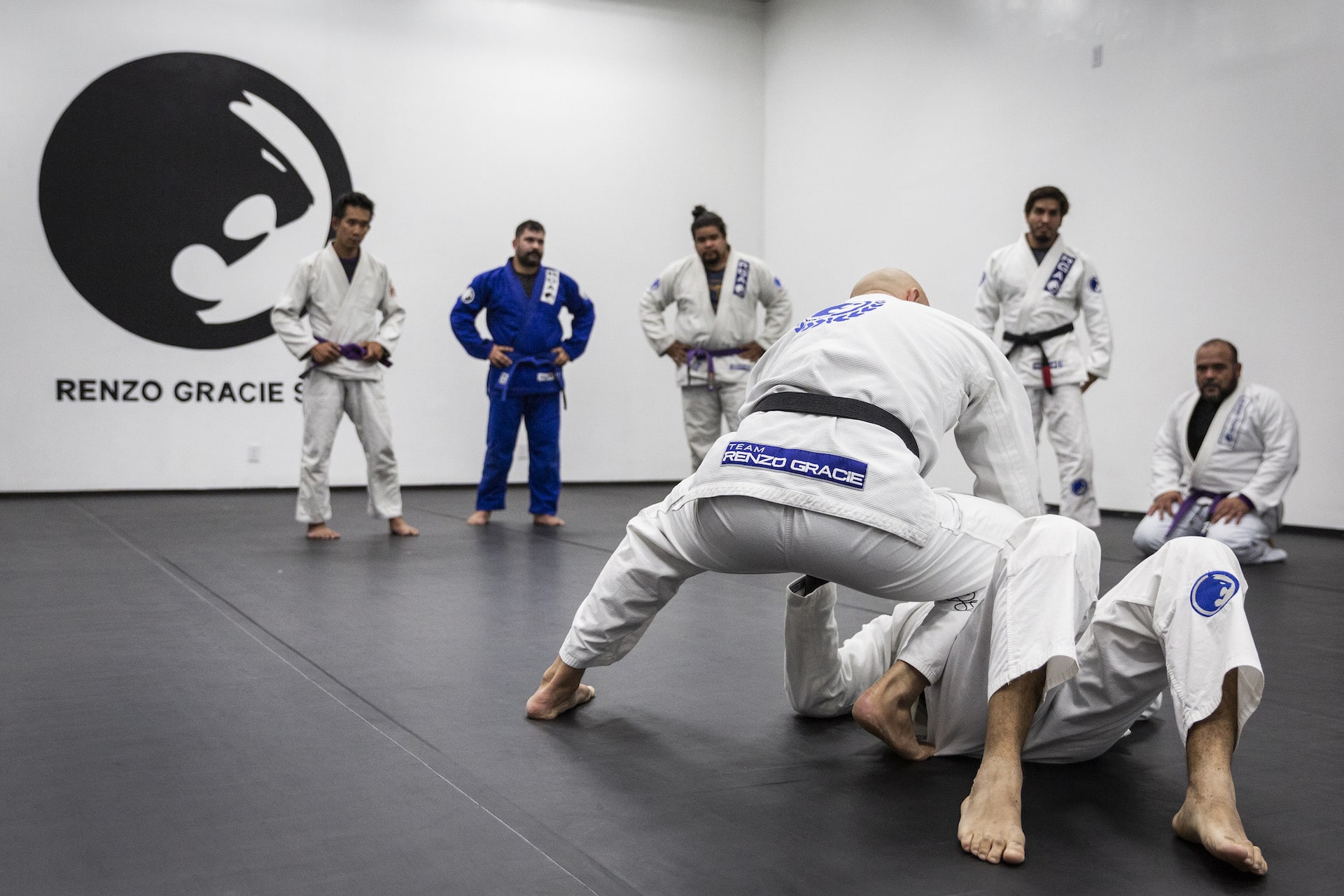 Renzo Gracie Houston